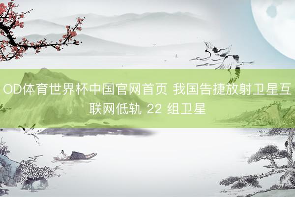 OD体育世界杯中国官网首页 我国告捷放射卫星互联网低轨 22 组卫星