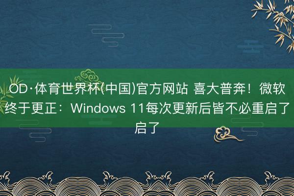 OD·体育世界杯(中国)官方网站 喜大普奔!微软终于更正:Windows 11每次更新后皆不必重启了