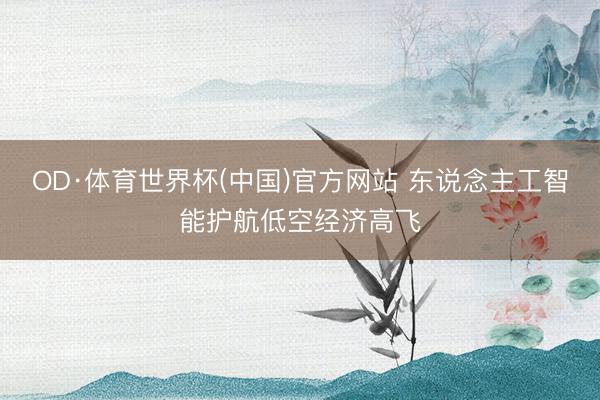 OD·体育世界杯(中国)官方网站 东说念主工智能护航低空经济高飞