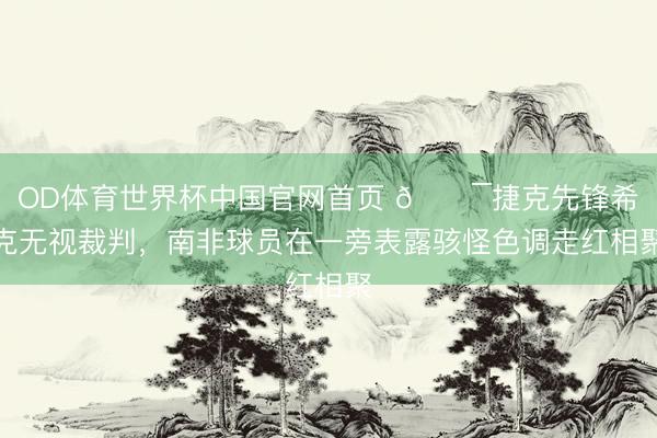 OD体育世界杯中国官网首页 😯捷克先锋希克无视裁判,南非球员在一旁表露骇怪色调走红相聚
